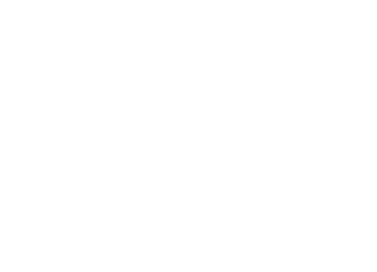 Velocity Engineering Systems